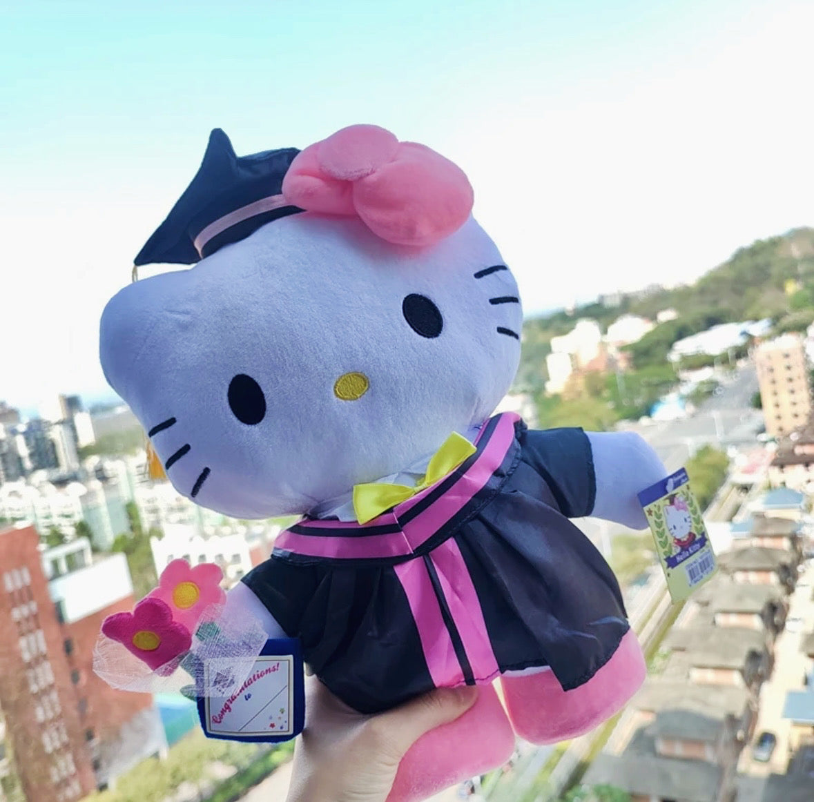 Graduation Plushies