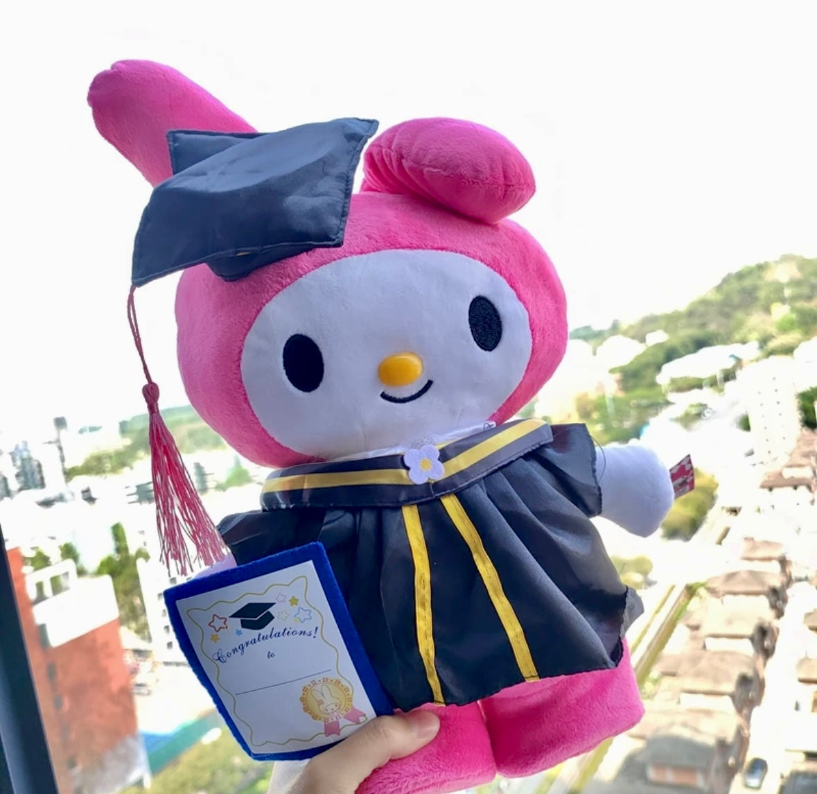 Graduation Plushies